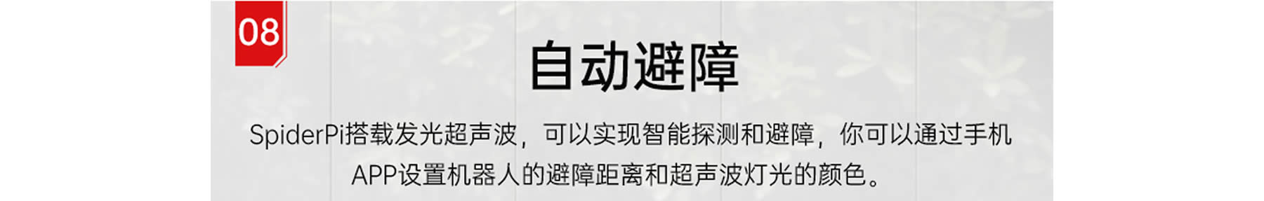 SpiderPi 智能视觉六足机器人