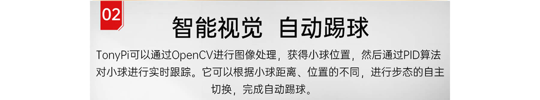 TonyPi 智能视觉人形机器人