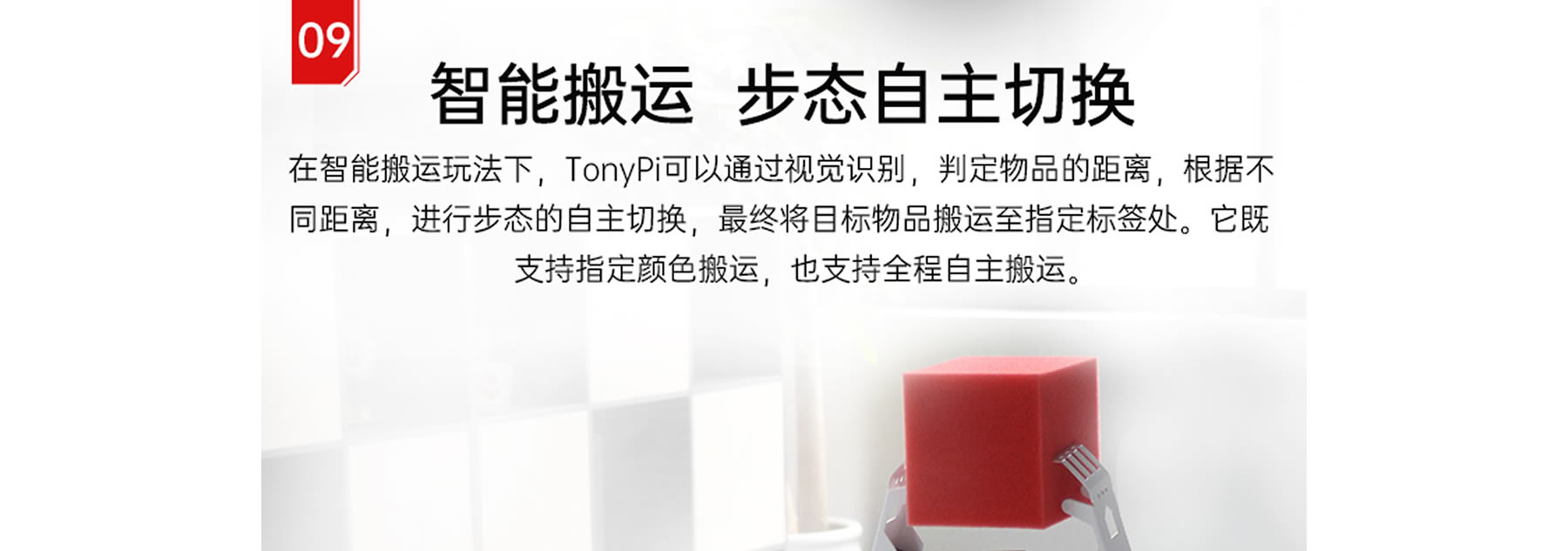 TonyPi 智能视觉人形机器人